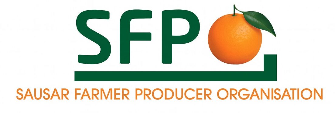 Mera Gaon Mera Bazar | Orange Festival Pandhurna MP