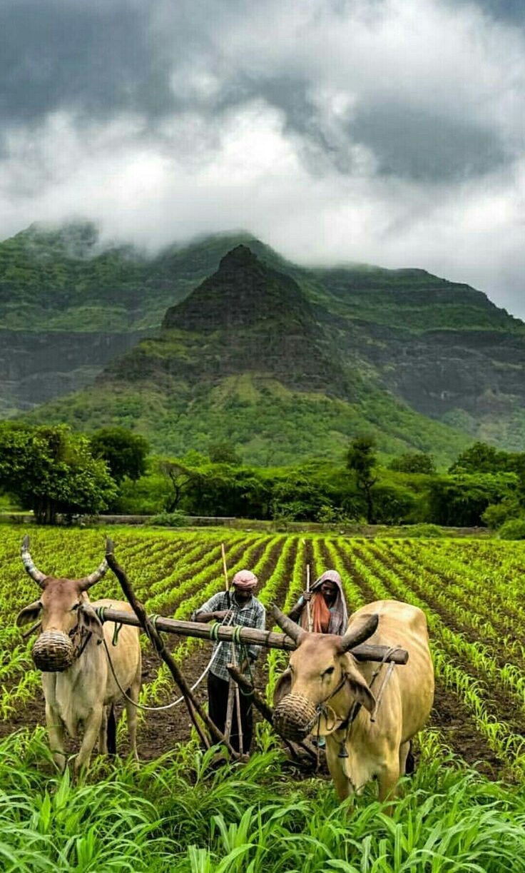 India ??(??????????).